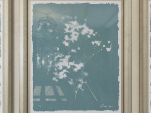 charlotte morgan wild meadow flowers Model 3D