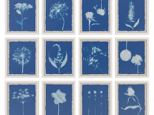 charlotte morgan prado selvagem flores 2 Modelo 3D