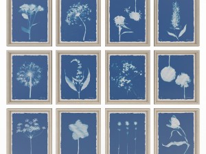charlotte morgan wild meadow flowers 2 3Dモデル