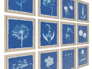 charlotte morgan wild meadow flowers 2 3Dモデル