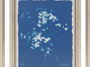 charlotte morgan wild meadow flowers 2 3Dモデル