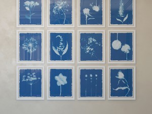 charlotte morgan wild meadow flowers 2 3Dモデル