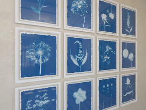 charlotte morgan wild meadow flowers 2 3Dモデル