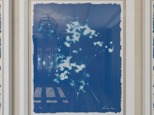 charlotte morgan wild meadow flowers 2 3Dモデル