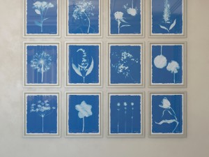 charlotte morgan wild meadow flowers 2 3Dモデル