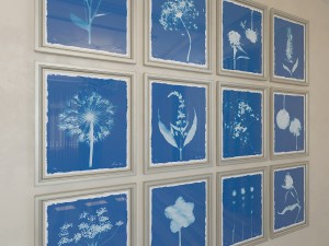 charlotte morgan wild meadow flowers 2 3Dモデル