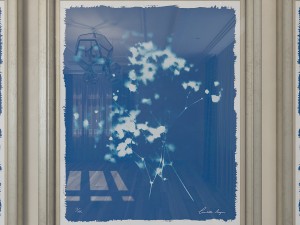 charlotte morgan wild meadow flowers 2 3Dモデル
