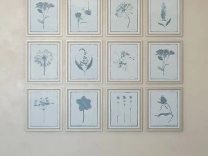 charlotte morgan prado selvagem flores Modelo 3D