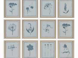 charlotte morgan wild meadow flowers 3D मॉडल