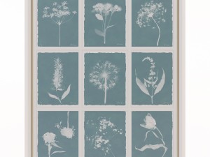 charlotte morgan wild meadow flowers nine piece 3D-Modell