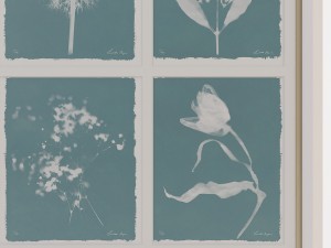 charlotte morgan wild meadow flowers nine piece 3D-Modell