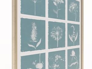 charlotte morgan wild meadow flowers nine piece 3D-Modell