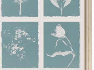 charlotte morgan wild meadow flowers nine piece 3D-Modell