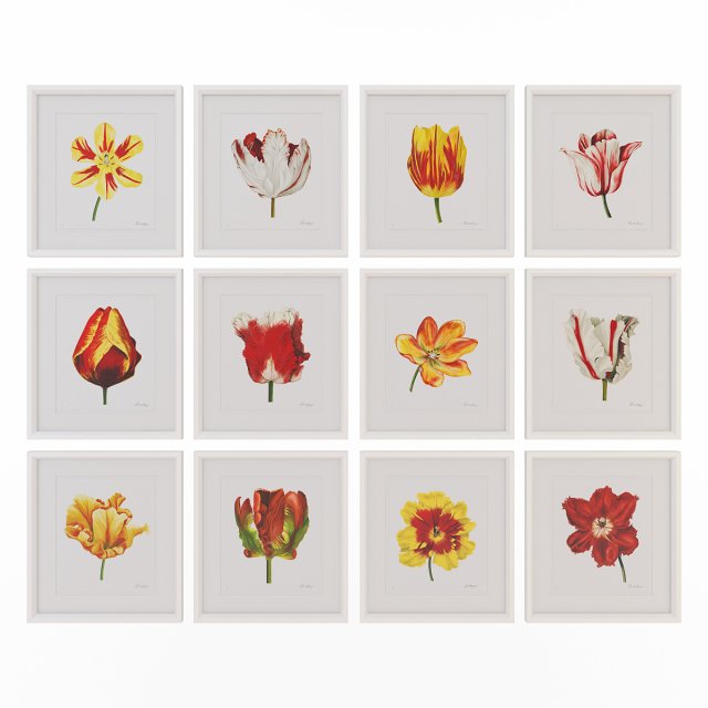 charlotte morgan watercolour tulips 3D-Modell .c4d .max .obj .3ds .fbx .stl .blend 