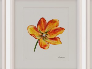 charlotte morgan watercolour tulips 3D-Modell