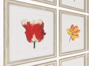 charlotte morgan watercolour tulips 3D-Modell