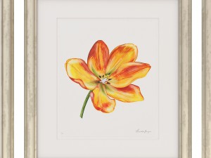 charlotte morgan watercolour tulips 3D-Modell