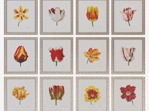 charlotte morgan watercolour tulips 3D-Modell