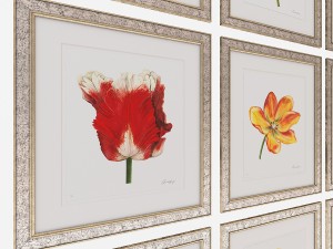 charlotte morgan watercolour tulips 3D-Modell