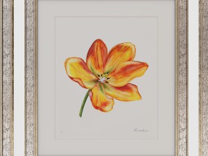 charlotte morgan watercolour tulips 3D-Modell