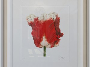 charlotte morgan watercolour tulips 3D-Modell