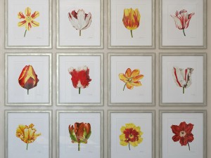 charlotte morgan watercolour tulips 3D-Modell