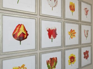 charlotte morgan watercolour tulips 3D-Modell