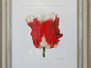 charlotte morgan watercolour tulips 3D-Modell