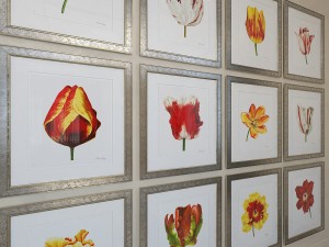 charlotte morgan watercolour tulips 3D-Modell