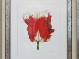 charlotte morgan watercolour tulips 3D-Modell