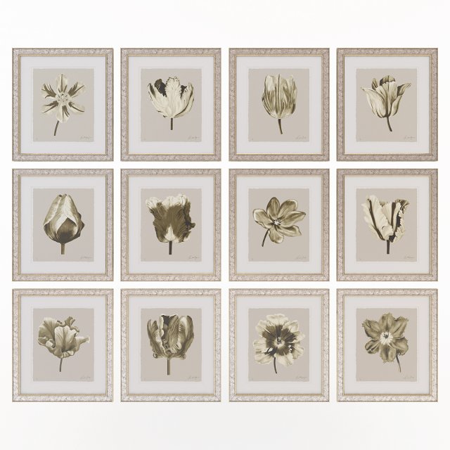 charlotte morgan watercolour tulips sepia Modèle 3D .c4d .max .obj .3ds .fbx .stl .blend