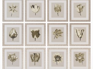 charlotte morgan watercolour tulips sepia Model 3D