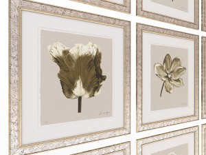charlotte morgan watercolour tulips sepia Modèle 3D