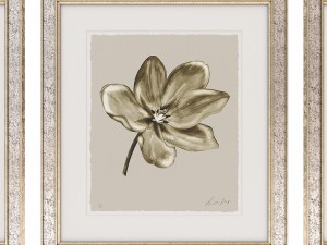 charlotte morgan watercolour tulips sepia Modèle 3D