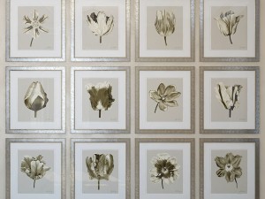 charlotte morgan watercolour tulips sepia Modèle 3D