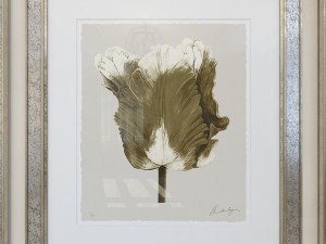 charlotte morgan watercolour tulips sepia Modèle 3D