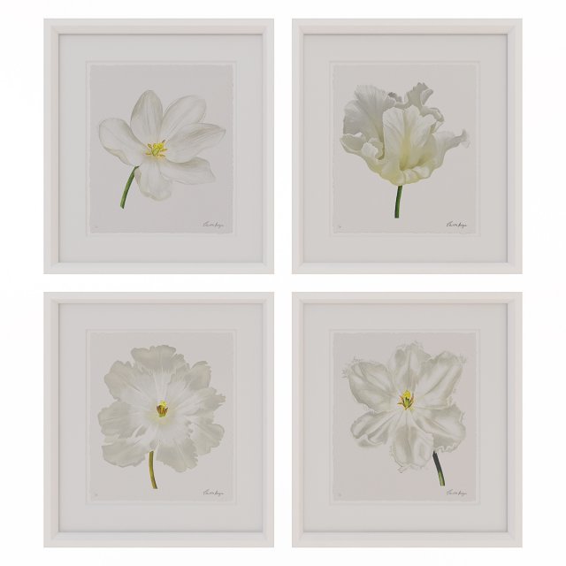 charlotte morgan white watercolour tulips Model 3D .c4d .max .obj .3ds .fbx .stl .blend 