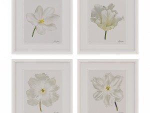 charlotte morgan white watercolour tulips Model 3D