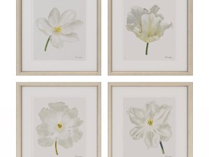 charlotte morgan white watercolour tulips Model 3D