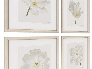 charlotte morgan white watercolour tulips Model 3D