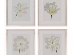 charlotte morgan white watercolour tulips Model 3D