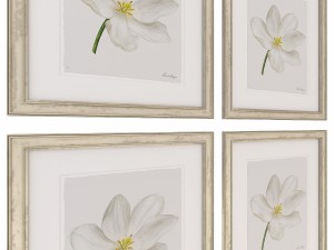 charlotte morgan white watercolour tulips Model 3D