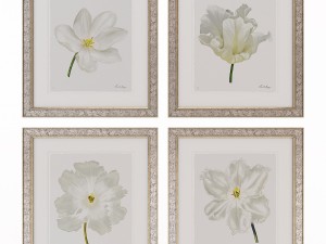 charlotte morgan white watercolour tulips Model 3D