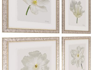 charlotte morgan white watercolour tulips Model 3D