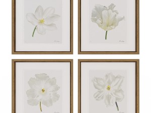 charlotte morgan white watercolour tulips Model 3D