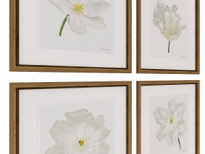 charlotte morgan white watercolour tulips Model 3D