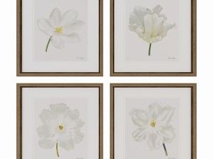 charlotte morgan white watercolour tulips Model 3D