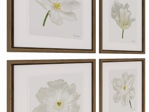 charlotte morgan white watercolour tulips Model 3D