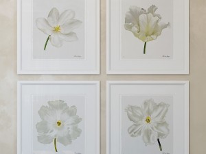charlotte morgan white watercolour tulips Model 3D