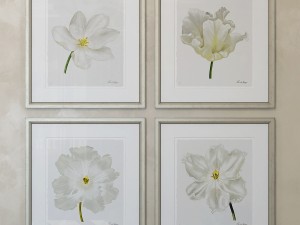 charlotte morgan white watercolour tulips Model 3D